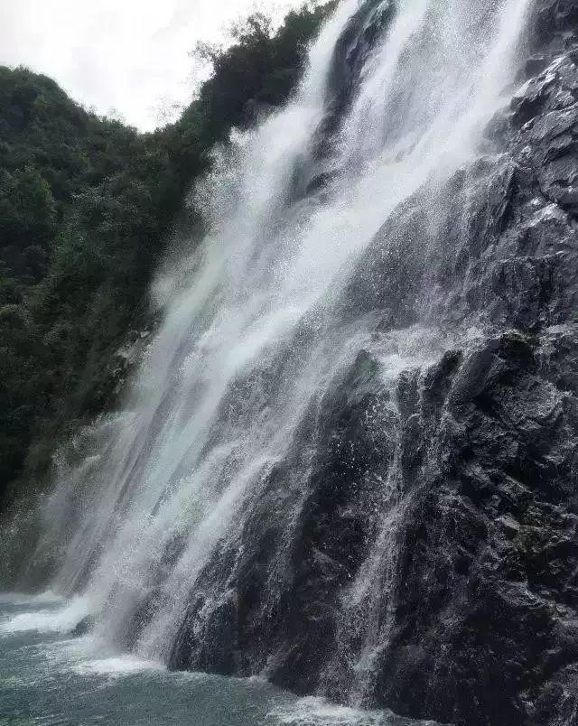 拯救小松鼠